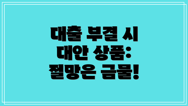 대출 부결 시 대안 상품:  절망은 금물!