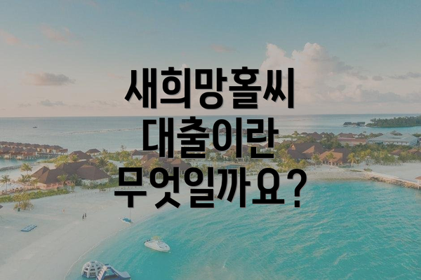 새희망홀씨 대출이란 무엇일까요?