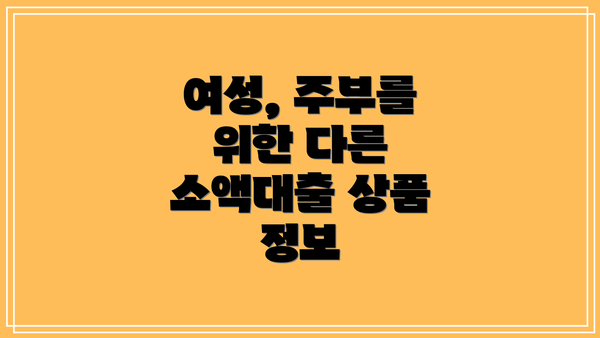 여성, 주부를 위한 다른 소액대출 상품 정보