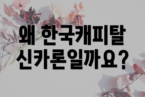 왜 한국캐피탈 신카론일까요?