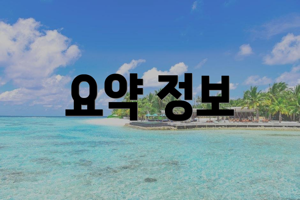 요약 정보
