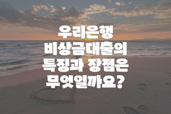 우리은행 비상금대출의 특징과 장점은 무엇일까요?