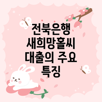 전북은행 새희망홀씨 대출의 주요 특징