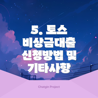 5. 토스 비상금대출 신청방법 및 기타사항