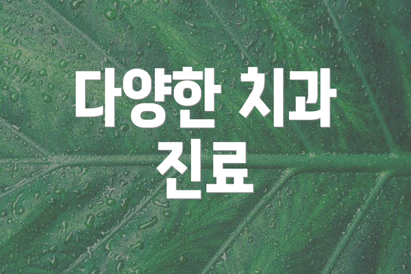 다양한 치과 진료