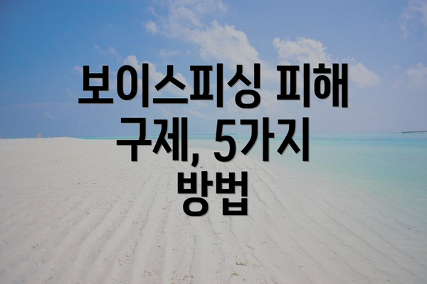 보이스피싱 피해 구제, 5가지 방법