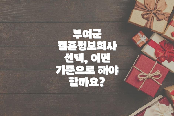 부여군 결혼정보회사 선택, 어떤 기준으로 해야 할까요?