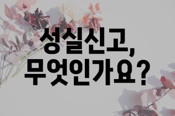 성실신고, 무엇인가요?