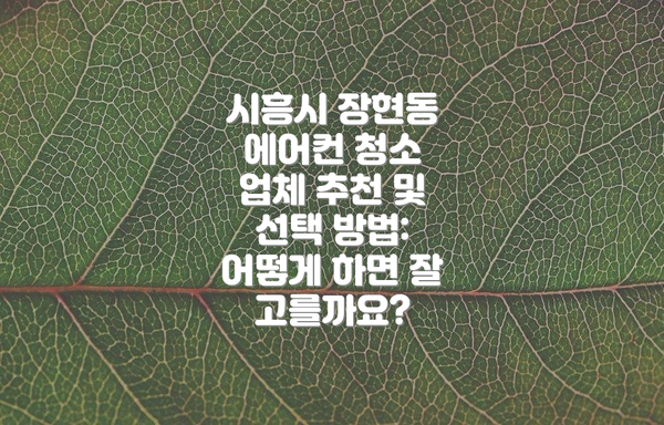 시흥시 장현동 에어컨 청소 업체 추천 및 선택 방법: 어떻게 하면 잘 고를까요?