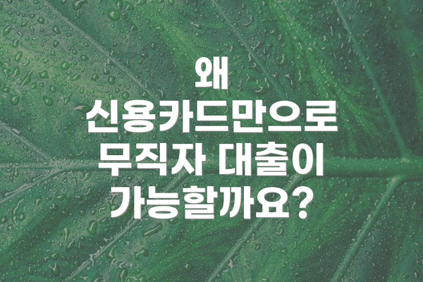 왜 신용카드만으로 무직자 대출이 가능할까요?