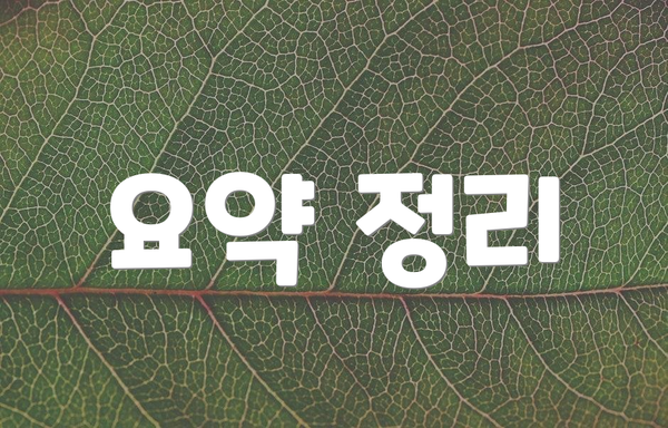 요약 정리