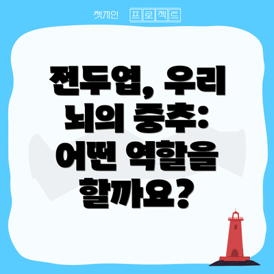 전두엽, 우리 뇌의 중추: 어떤 역할을 할까요?