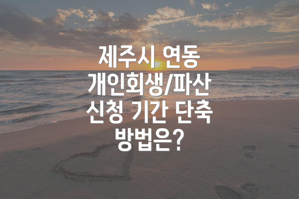 제주시 연동 개인회생/파산 신청 비용은 얼마나 들까요?
