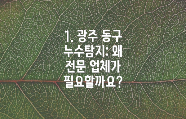 1. 광주 동구 누수탐지: 왜 전문 업체가 필요할까요?