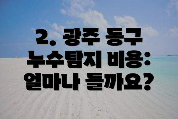 2. 광주 동구 누수탐지 비용: 얼마나 들까요?