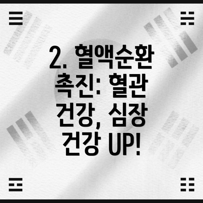 2. 혈액순환 촉진: 혈관 건강, 심장 건강 UP!