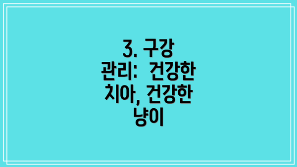 3. 구강 관리:  건강한 치아, 건강한 냥이