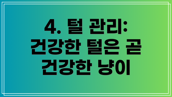 4. 털 관리:  건강한 털은 곧 건강한 냥이