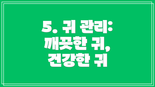 5. 귀 관리:  깨끗한 귀, 건강한 귀