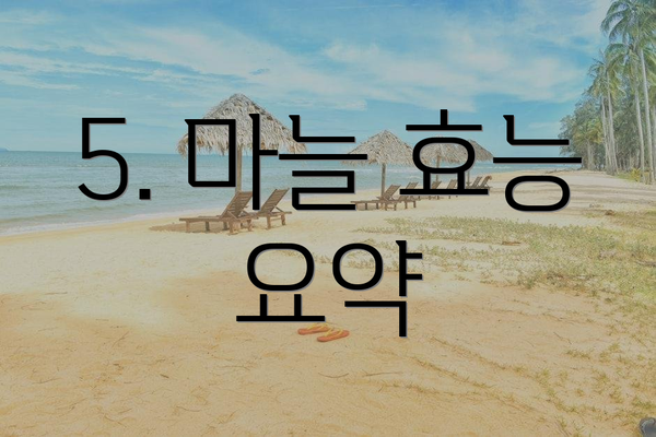 5. 마늘 효능 요약