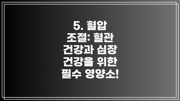 5. 혈압 조절: 혈관 건강과 심장 건강을 위한 필수 영양소!