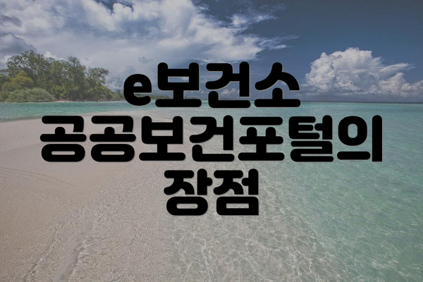 e보건소 공공보건포털의 장점