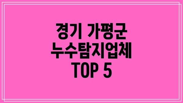 경기 가평군 누수탐지업체 TOP 5