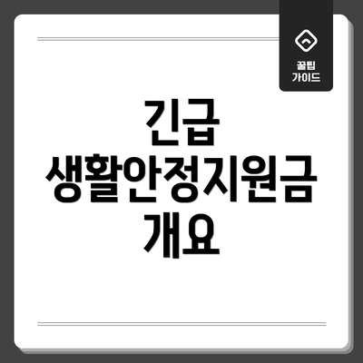 긴급 생활안정지원금 개요