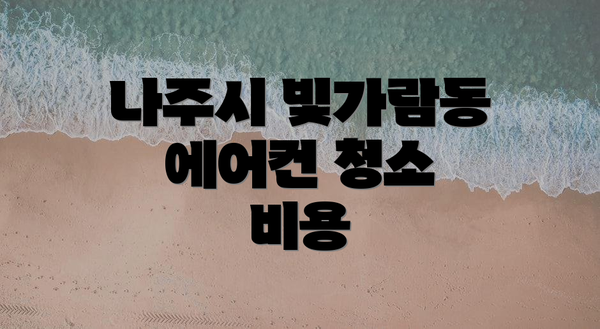 나주시 빛가람동 에어컨 청소 비용