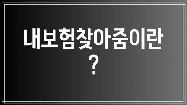 내보험찾아줌이란?