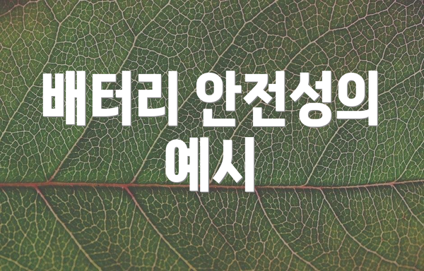 배터리 안전성의 예시
