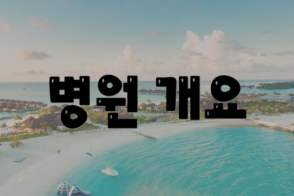 병원 개요
