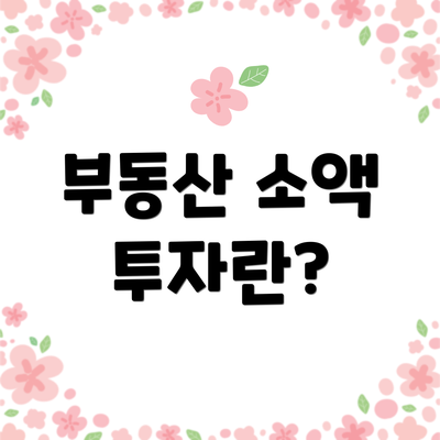 부동산 소액 투자란?