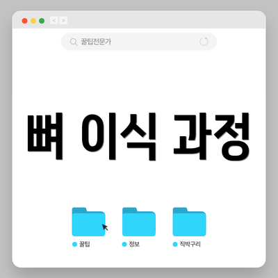 뼈 이식 과정
