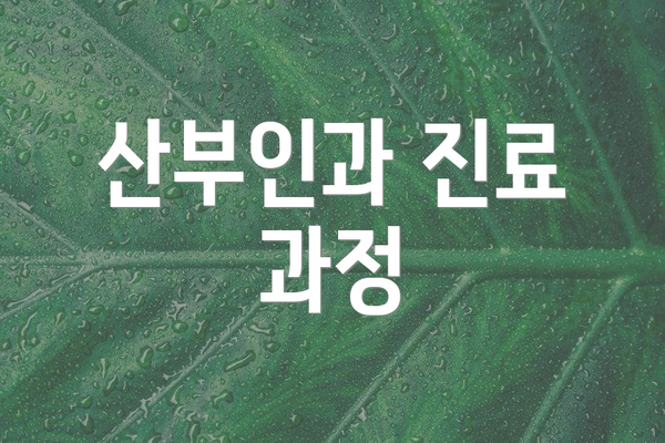 산부인과 진료 과정