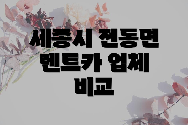 세종시 전동면 렌트카 업체 비교