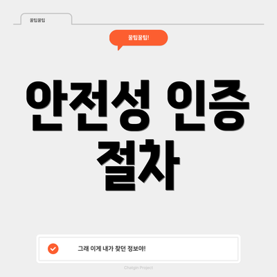 안전성 인증 절차