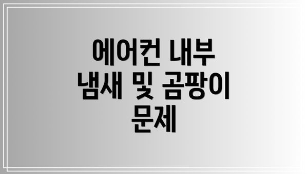 에어컨 내부 냄새 및 곰팡이 문제