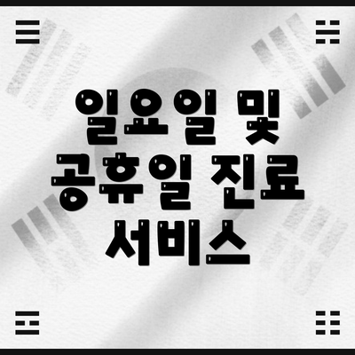 일요일 및 공휴일 진료 서비스
