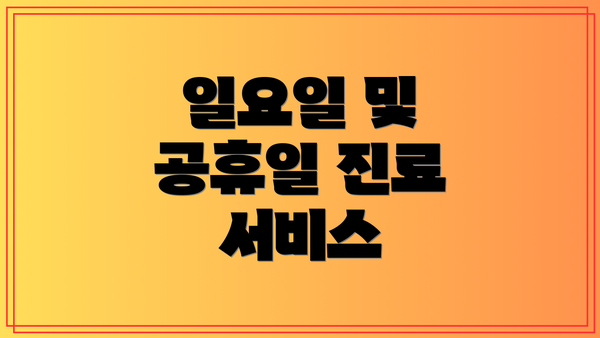 일요일 및 공휴일 진료 서비스