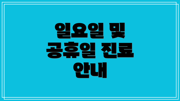 일요일 및 공휴일 진료 안내
