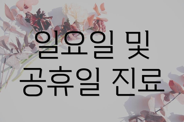 일요일 및 공휴일 진료