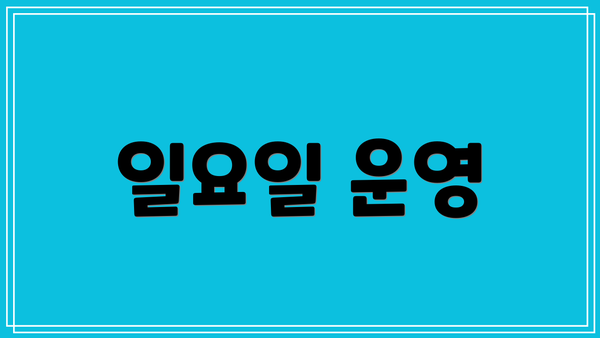 일요일 운영