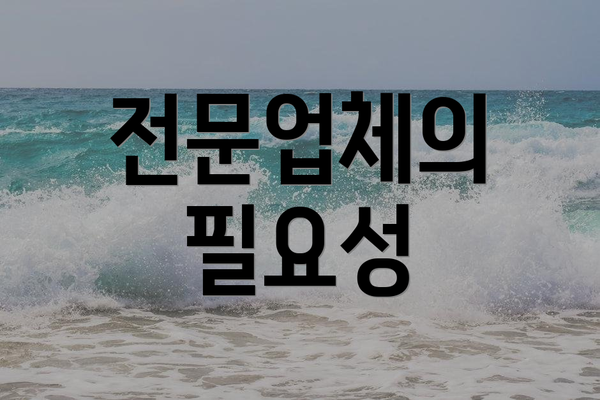 전문업체의 필요성