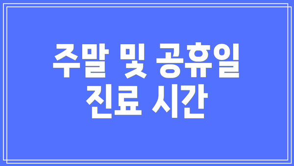 주말 및 공휴일 진료 시간
