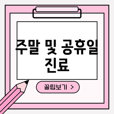 주말 및 공휴일 진료