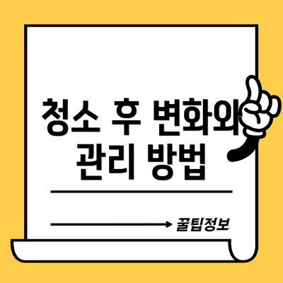 청소 후 변화와 관리 방법