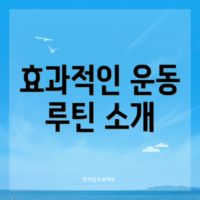 효과적인 운동 루틴 소개