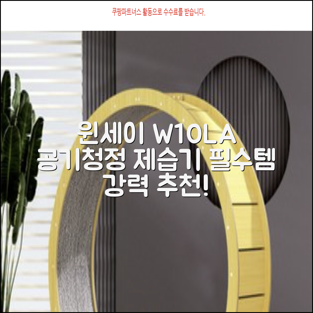 윈세이 인버터 방하나 공기청정 제습기 10L W10LA 추천 리뷰