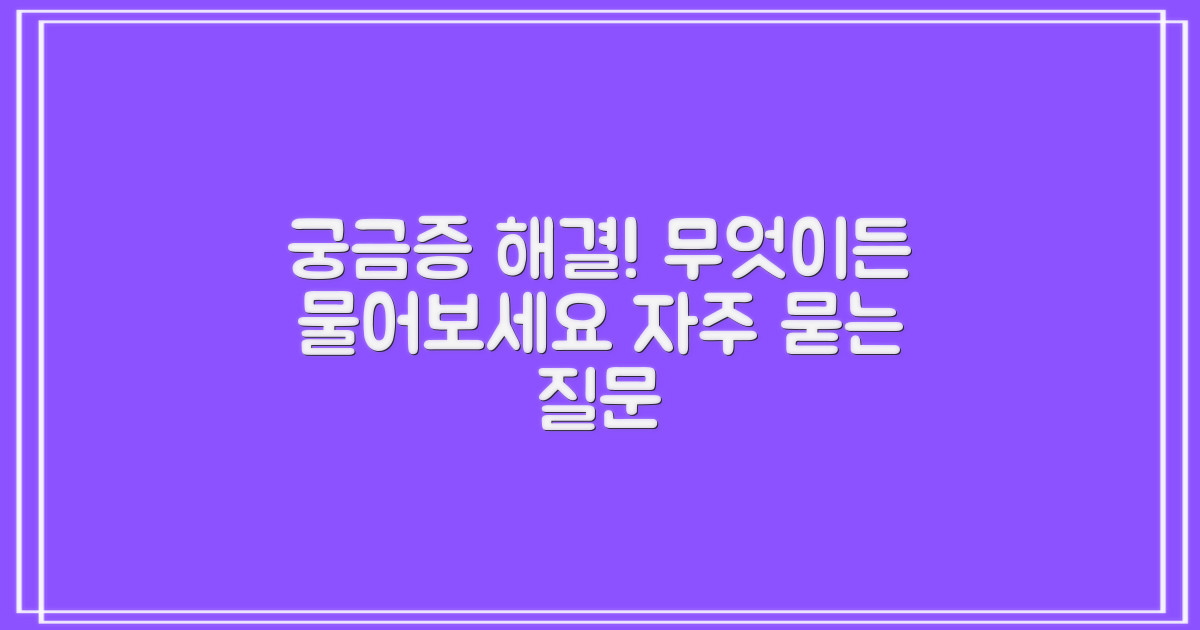 자주 묻는 질문